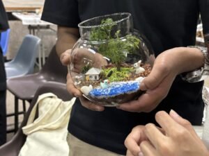 Terrarium_LSRSOA (14)